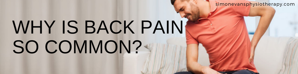 Why is Back Pain so Common?