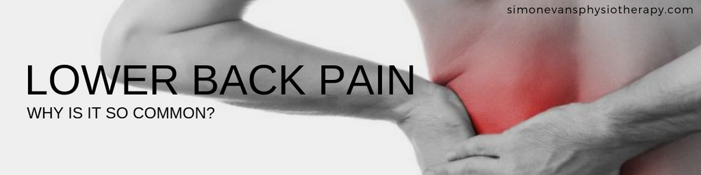 Why is Lower Back Pain so Common?