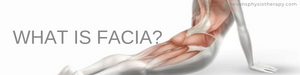 What is Fascia?